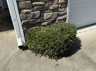 Bush Trimming by Jarvis Hambrick for Raymond R. in Simpsonville, SC