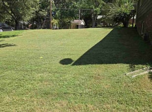 Mariam B.'s Grass Cutting service result