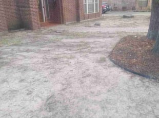 Leaf Removal by Donovan Perry for Jennifer S. in Houston, TX