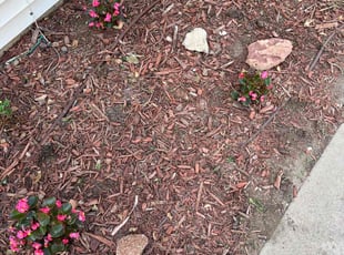 Weeding by Dustin Soyez for Garrett M. in Wichita, KS