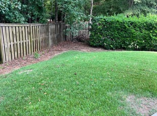 Derek P.'s Lawn Mowing Service service result