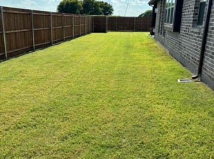 Donna H.'s Grass Cutting service result