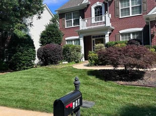 Robyn C.'s Yard Cutting service result