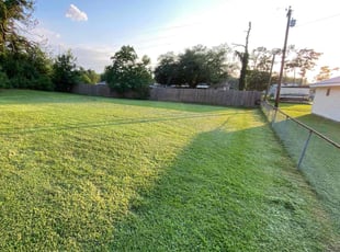 Peter W.'s Lawn Care service result