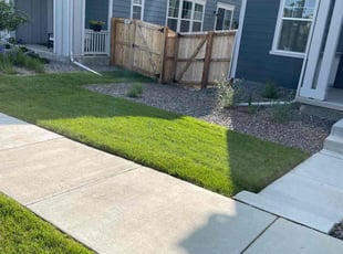 Weeding by Aaron Fresquez for Matt B. in Broomfield, CO