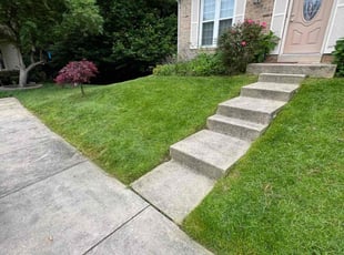 Damien P.'s Lawn Service service result
