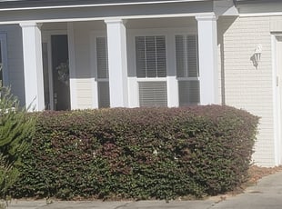 Bush Trimming by Shelton Brown for Ali K. in Tallahassee, FL