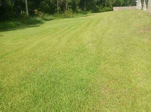 Lindsey W.'s Lawn Maintenance service result