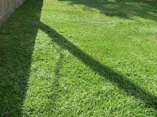 Terrence W.'s Lawn Maintenance service result