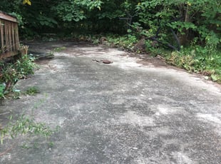 Bush Trimming by Denzel Jones for Kiara H. in Baton Rouge, LA
