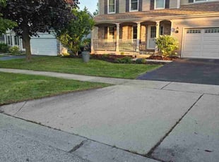 Cleanups by Heriberto Mozqueda for Max W. in Mundelein, IL