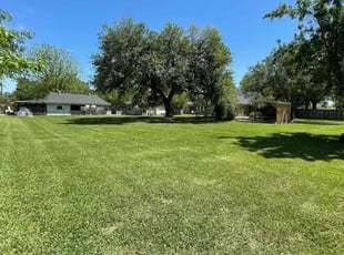 Layla P.'s Lawn Care service result