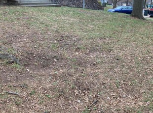 Leaf Removal by Tim Kirkpatrick for Anthony L. in Kansas City, MO