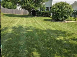 Heidi W.'s Lawn Care service result