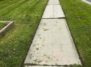 Travis B.'s Grass Cutting service result