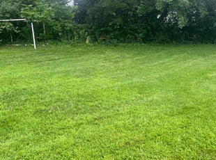 Xian O.'s Yard Cutting service result