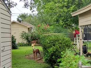 Bush Trimming by Muhammad Rasheed for Louise F. in Midwest City, OK