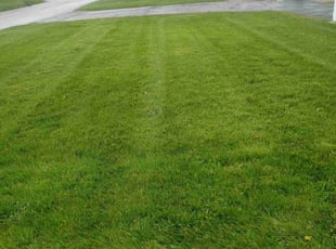 NAKISHA W.'s Lawn Service service result