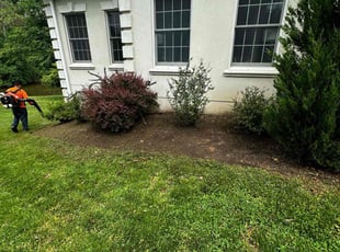 Weeding by Carlos Portillo for Marlon F. in Fort Washington, MD
