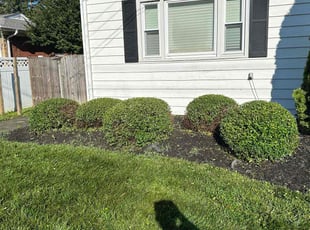Bush Trimming by Jose M Rodriguez for Tammy C. in Alexandria, VA
