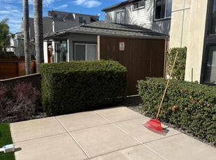 Bush Trimming by Nicholas Poulsen for Michael F. in San Diego, CA