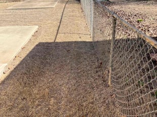 Leaf Removal by Arlyn Franco for Rachel S. in Moore, OK