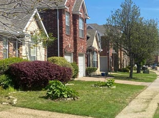 Kelly O.'s Lawn Maintenance service result