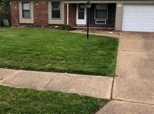 Melany W.'s Yard Cutting service result