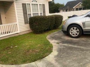 Bush Trimming by Don'Trayvis Vaught for Junetta B. in Conway, SC