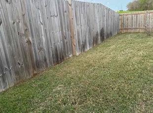 Landscaping by Allen Roberto $ for YAZAN H. in New Orleans, LA