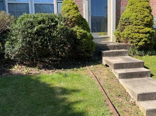 Bush Trimming by Antoine Ruffin for Allison P. in Rosedale, MD