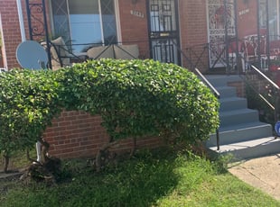 Bush Trimming by Carlos Polanco for Maria F. in Washington, DC