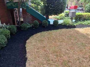 Landscaping by Rómulo González for Nadia C. in Washington, DC