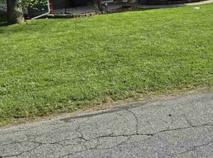 Sonja S.'s Lawn Mowing service result