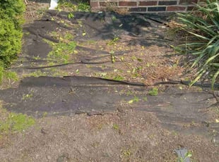 Weeding by Rayshawn Martin for Lana D. in Euclid, OH
