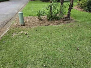 Weeding by Felder Williams for Colin L. in Columbia, SC