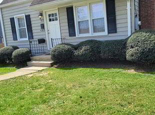 Bush Trimming by Miguel Santos for Emily M. in Rockville, MD