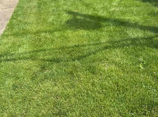 Arthur B.'s Grass Cutting service result