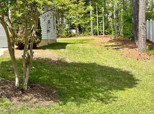 Jean B.'s Lawn Mowing service result