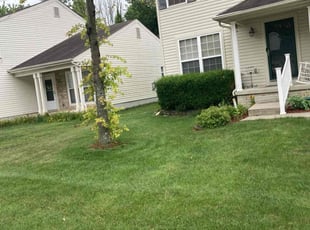 Kaitlin B.'s Lawn Service service result