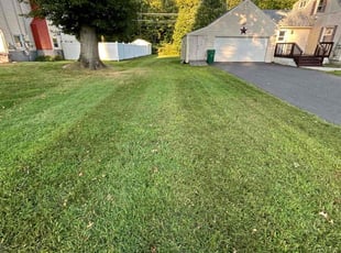 Andrea D.'s Yard Cutting service result