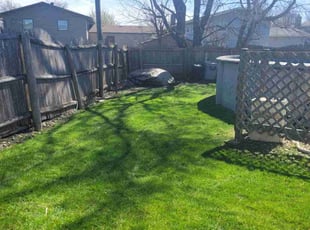 Britt W.'s Lawn Mowing service result
