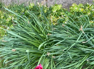 Cleanups by Ashley Taylor for Joann m. in Columbus, OH