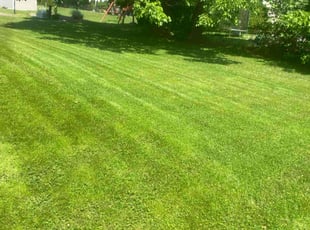 Dan H.'s Lawn Service service result