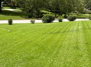 Derek P.'s Lawn Care service result