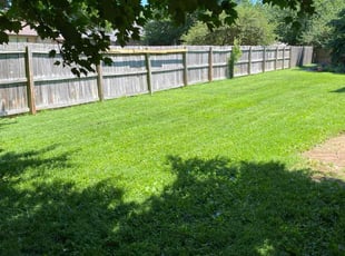 Andrew R.'s Lawn Mowing Service service result