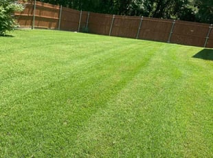 Analisa V.'s Yard Cutting service result