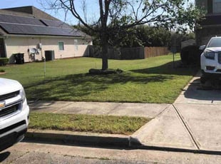 Maria T.'s Yard Cutting service result