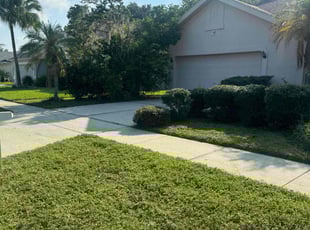 Rich W.'s Lawn Service service result