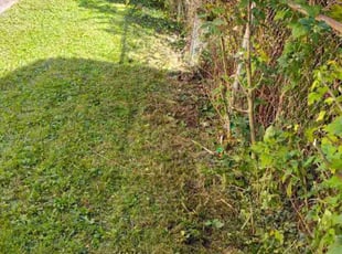 Bush Trimming by Bob Gilbert for Lor R. in Pittsburgh, PA